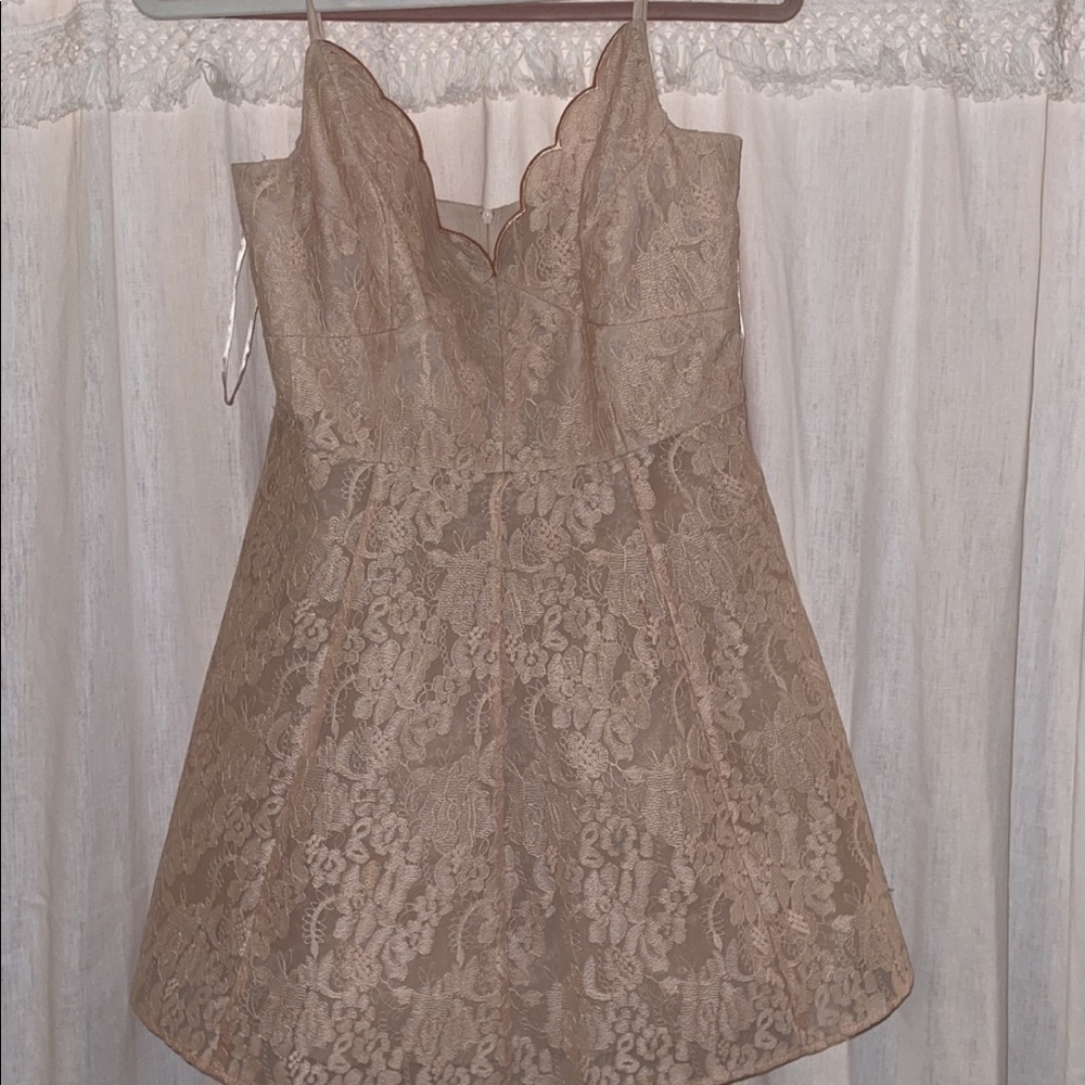 Keepsake Sundream Blush Lace Dress - Picture 4 of 5